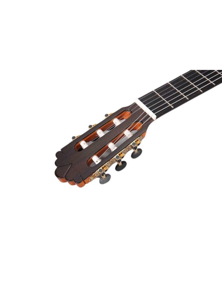 Guitarra Flamenca Altamira N700F+