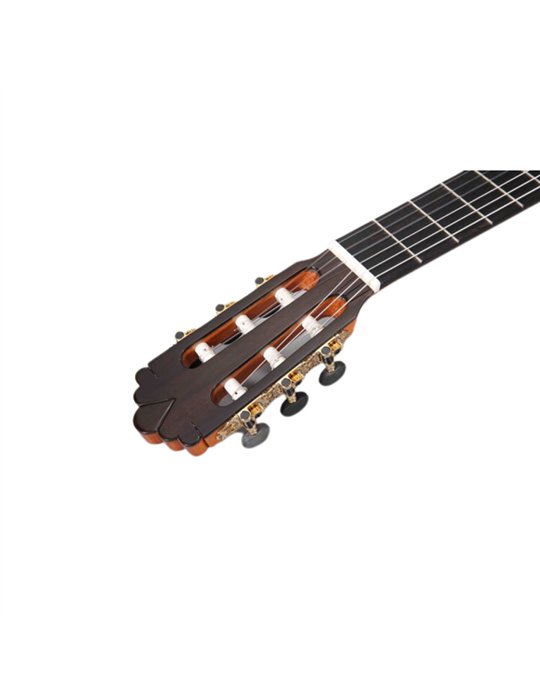Guitarra Flamenca Altamira N700F+