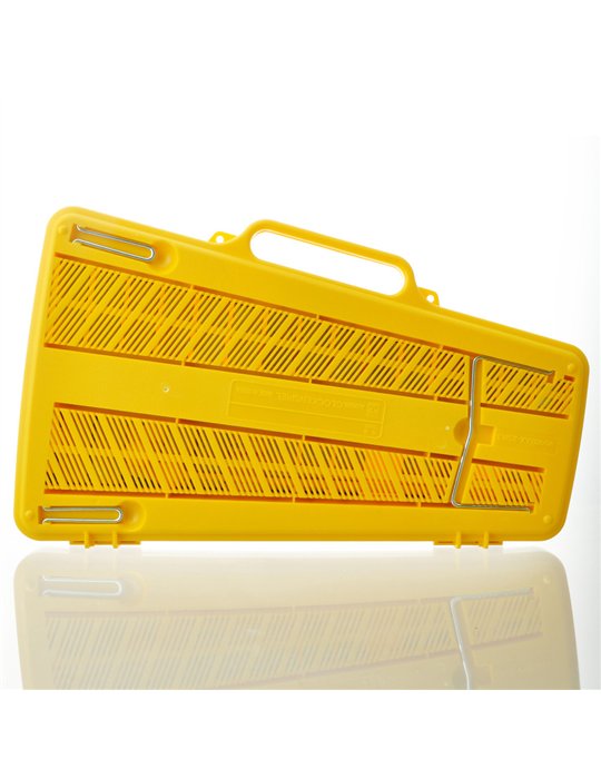 Carrillón Angel AG-25N3 Teclas Colores