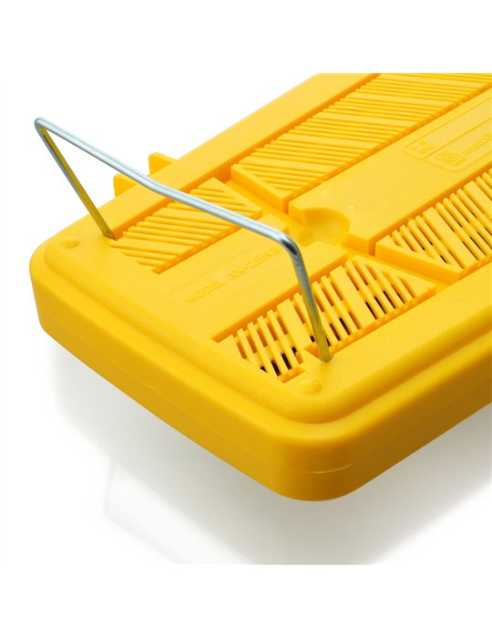 Carrillón Angel AG-25N3 Teclas Colores