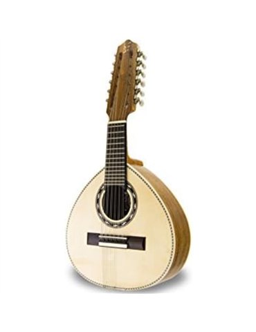 Bandurria APC BAND-308