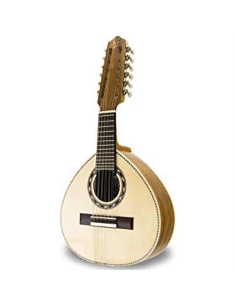 Bandurria APC BAND-308