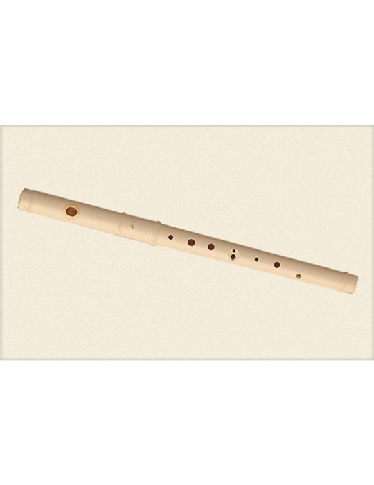 Flauta Pifano Aulos C-21 Travesera 2 Piezas