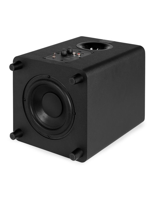 SW65C Subwoofer activo de 130 W
