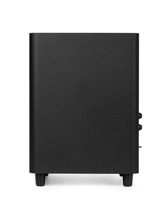 SW65C Subwoofer activo de 130 W