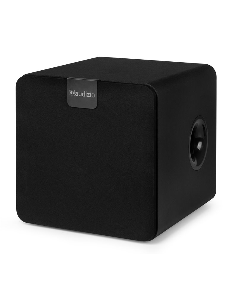 SW80D Subwoofer activo de 160 W