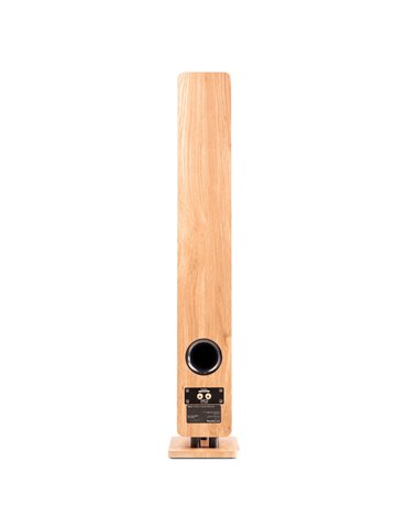 ARCO Altavoz de Torre Pasiva Madera Clara 2