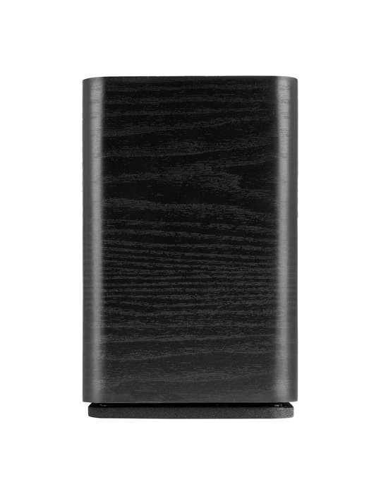 ARCO Altavoz de Torre Pasiva Negro