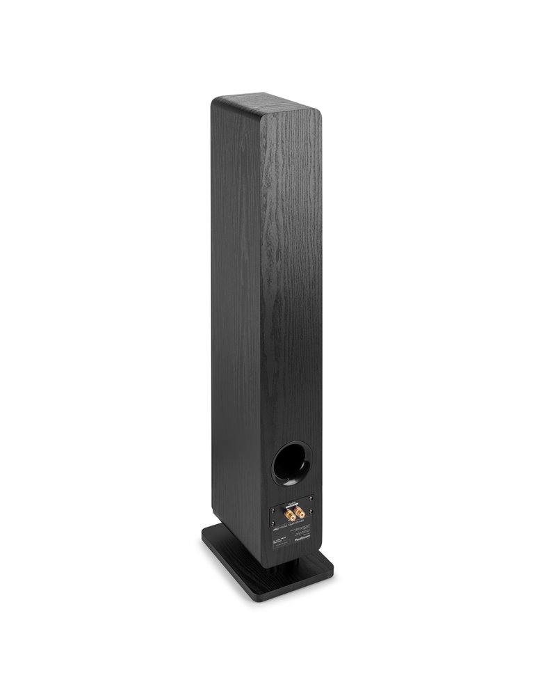 ARCO Altavoz de Torre Pasiva Negro