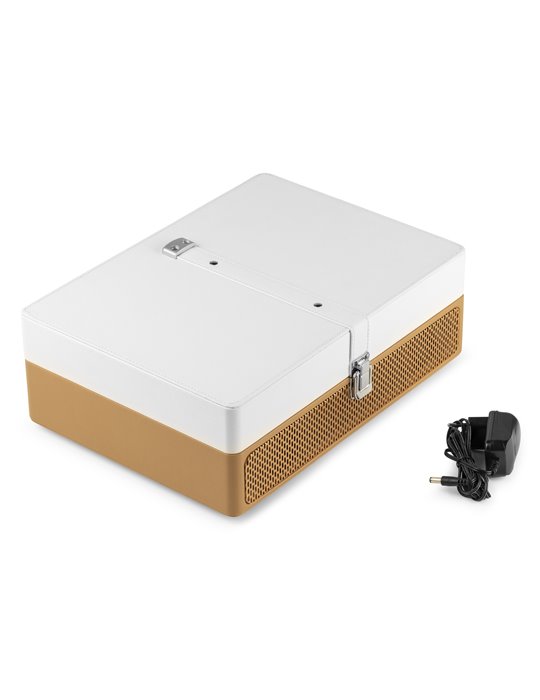 RP119 Giradiscos Dorado