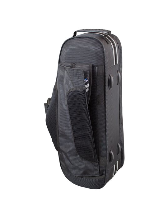 Estuche Saxo Alto Champion CHCSAXA1