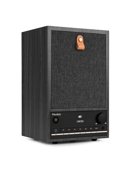 Radio por Internet Canzo con sintonizador DAB+/FM Gris Oscuro
