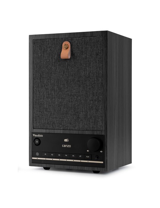 Radio por Internet Canzo con sintonizador DAB+/FM Gris Oscuro