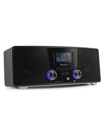 Cannes Radio por Internet estéreo con DAB+ y CD 2
