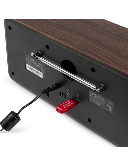 Foza Radio WIFI Internet estéreo con DAB + Madera