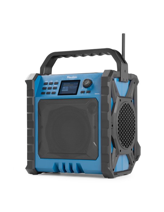 Temi-XL Radio DAB/FM para el lugar de trabajo con batería