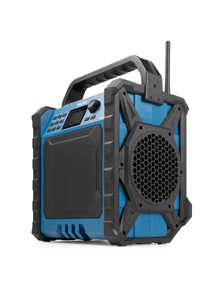Temi-XL Radio DAB/FM para el lugar de trabajo con batería