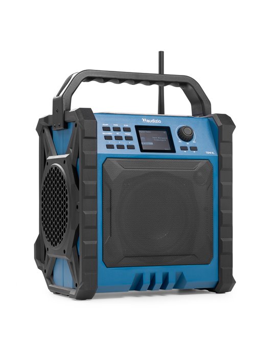 Temi-XL Radio DAB/FM para el lugar de trabajo con batería