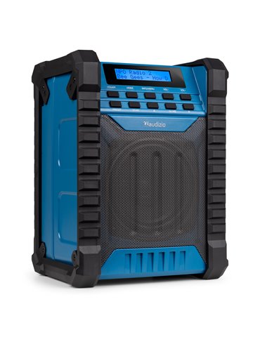 Temi Jobsite DAB/FM Radio con batería