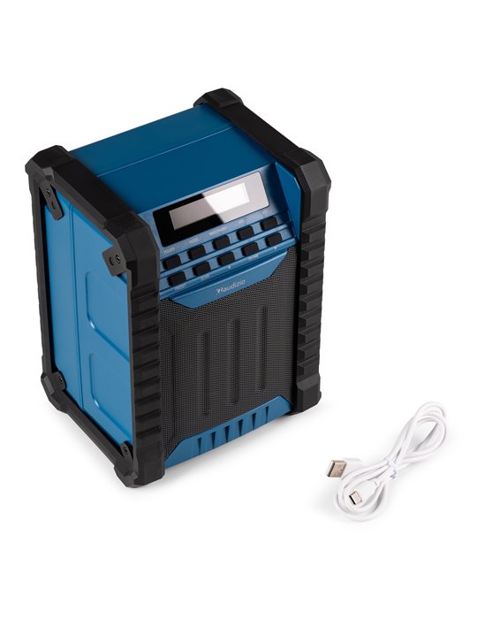Temi Jobsite DAB/FM Radio con batería