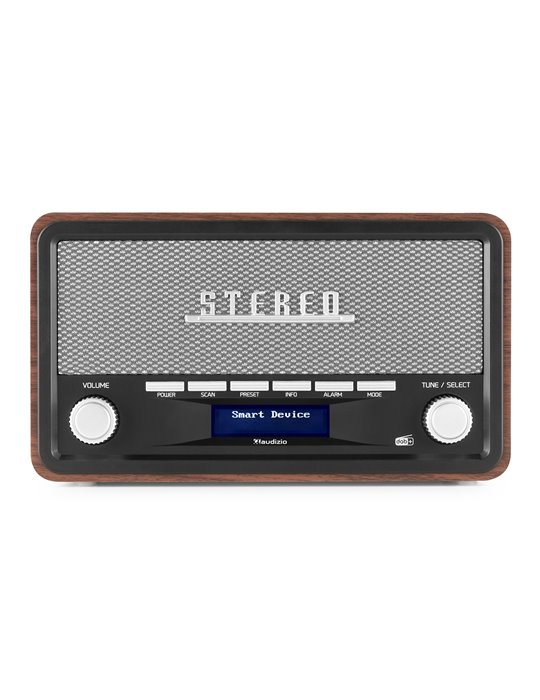 Foggia Radio Retro DAB+ Gris