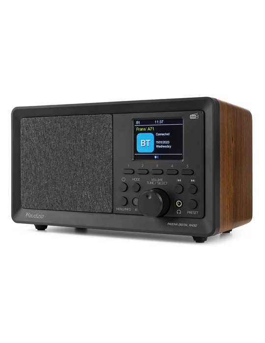 Padova DAB+ Radio Madera