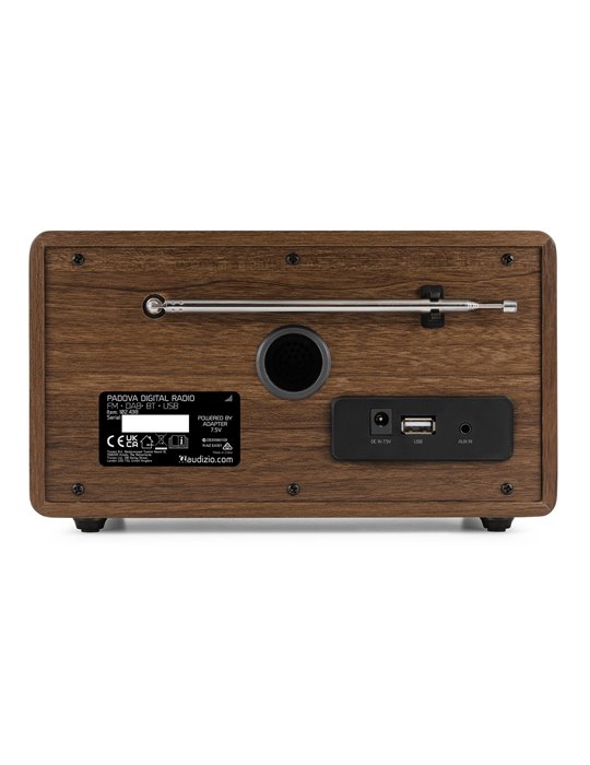 Padova DAB+ Radio Madera