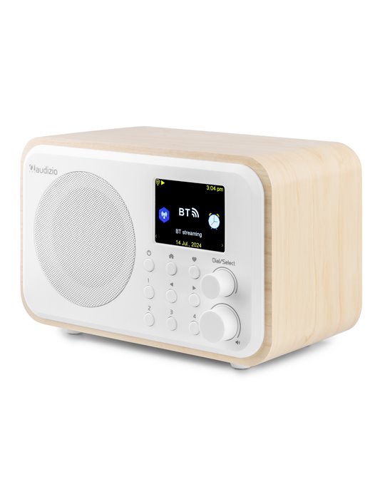 Vicenza WIFI Radio Internet con DAB+ y batería Blanco