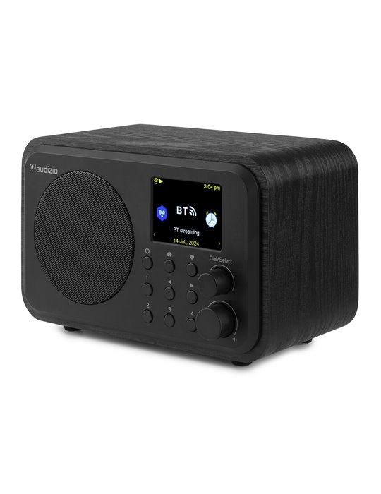 Vicenza WIFI Radio Internet con DAB+ y batería Black