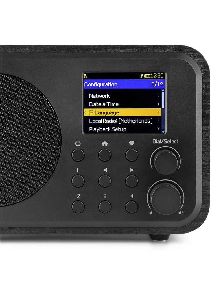 Vicenza WIFI Radio Internet con DAB+ y batería Black