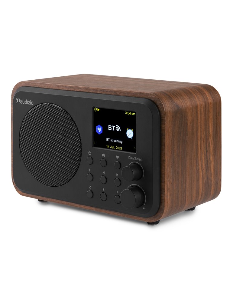 Vicenza WIFI Radio Internet con DAB+ y batería Wood