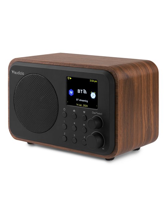 Vicenza WIFI Radio Internet con DAB+ y batería Wood