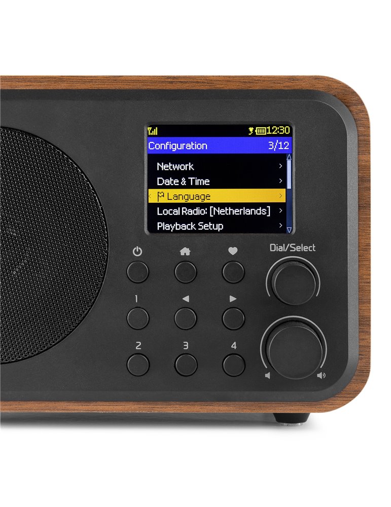 Vicenza WIFI Radio Internet con DAB+ y batería Wood