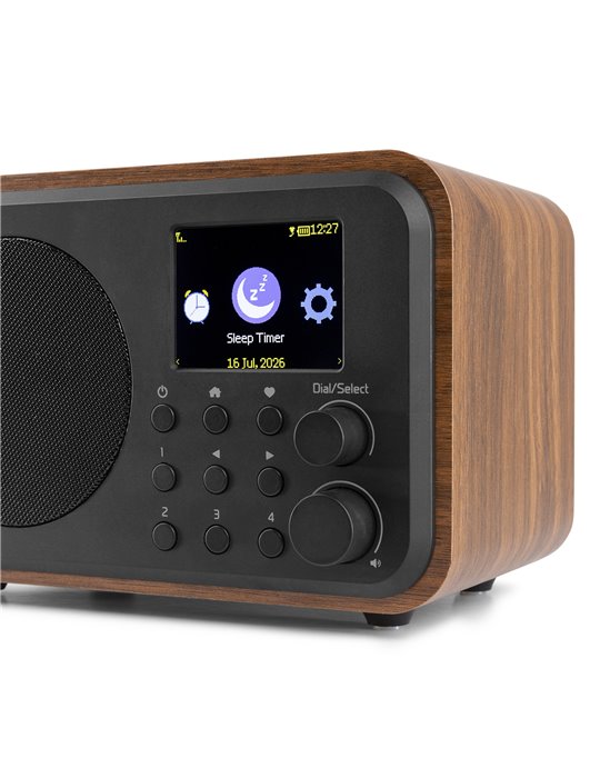 Vicenza WIFI Radio Internet con DAB+ y batería Wood