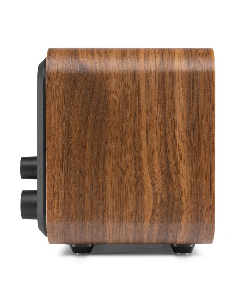 Vicenza WIFI Radio Internet con DAB+ y batería Wood