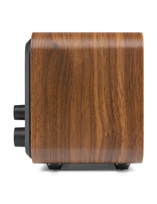 Vicenza WIFI Radio Internet con DAB+ y batería Wood