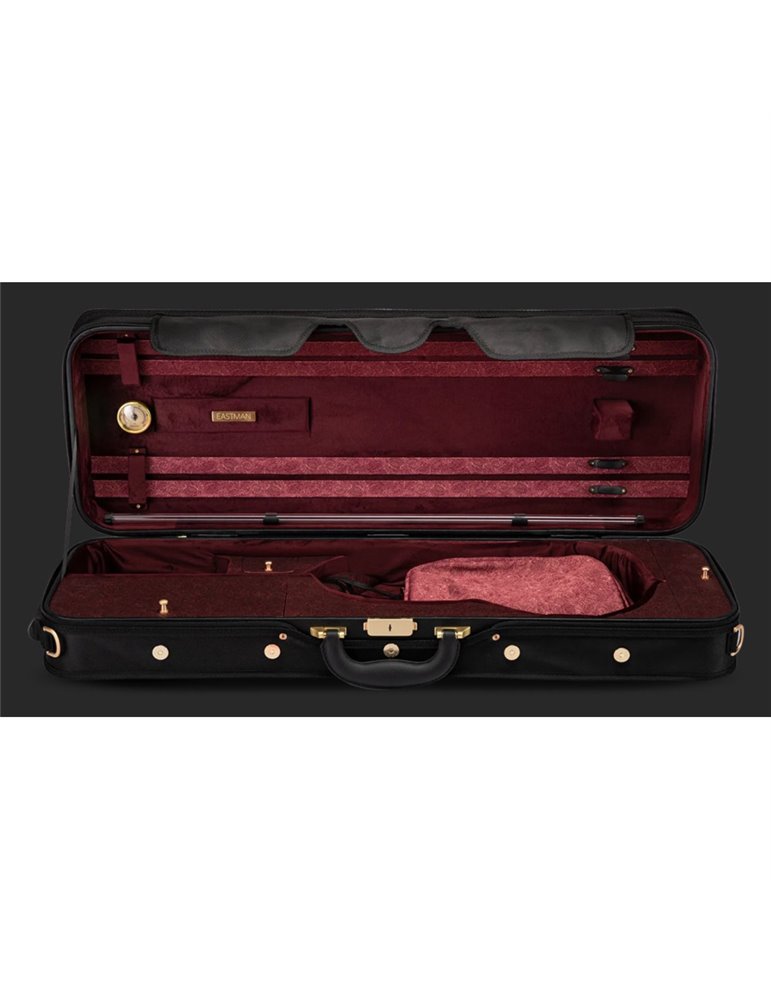 Violín Andreas Eastman VL605-SBC 4/4 Stradivari Completo