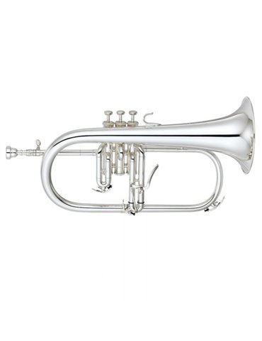 Fliscorno Pistones Fides FFL-4000ML Lacado