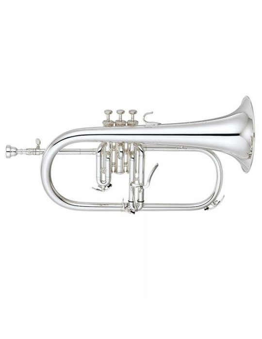 Fliscorno Pistones Fides FFL-4000ML Lacado