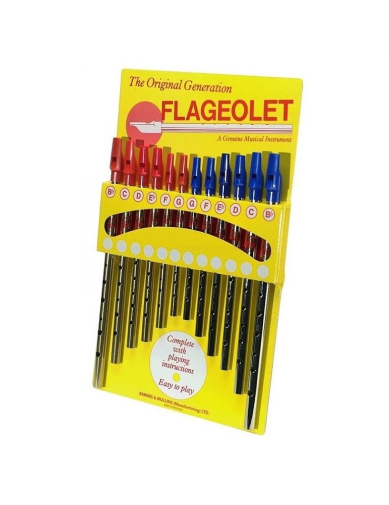 Expositor completo Flauta Flageolet