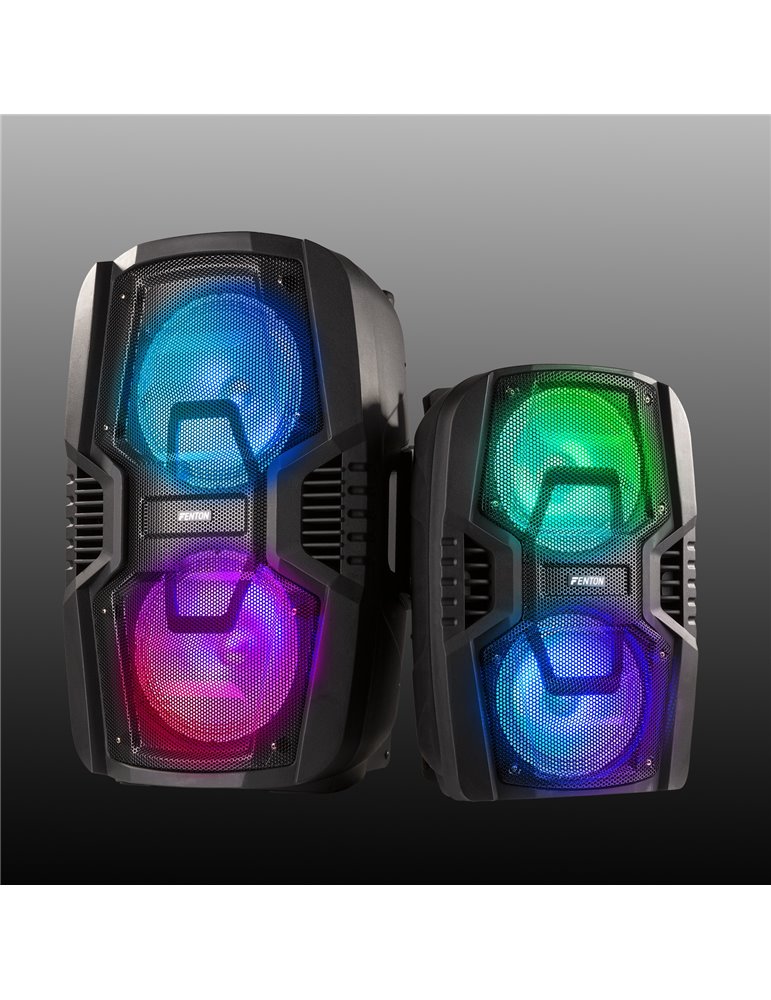 FT208LED Sistema portátil de sonido 2x 8"