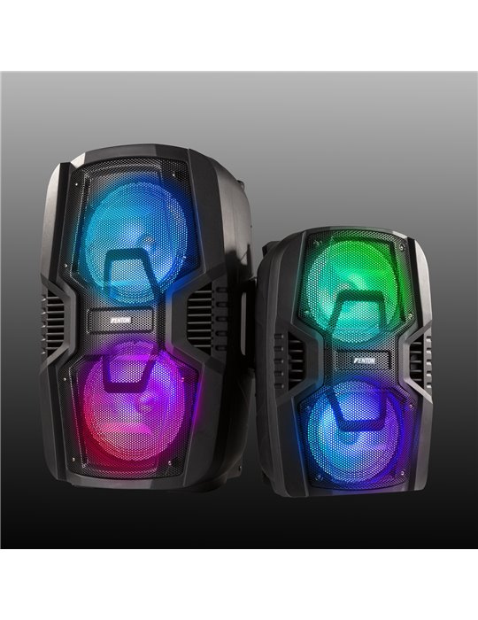 FT208LED Sistema portátil de sonido 2x 8"