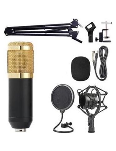 Kit Microfonía F-Zone BM-800 2