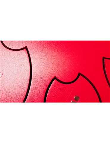 Steel Tongue Drum F-Zone STD1013N Rojo (10" 13 notas) 2