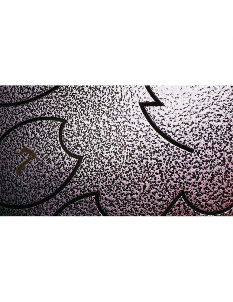 Steel Tongue Drum F-Zone STD1213N Gris Jaspeado (12" 13 notas)