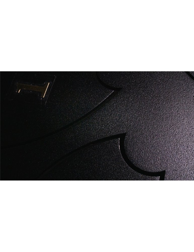 Steel Tongue Drum F-Zone STD1213N Negro (12" 13 notas)