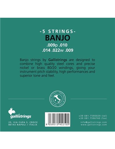 Juego Banjo 5 Cuerdas Galli G-210 2