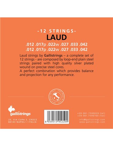 Cuerda 5ª Laúd Galli (Par) 2