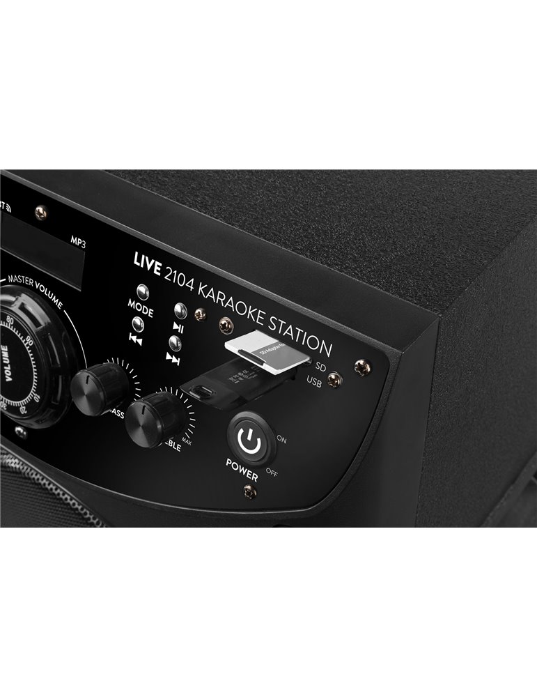 LIVE2104 Karaoke Station sobre ruedas 2x 10”
