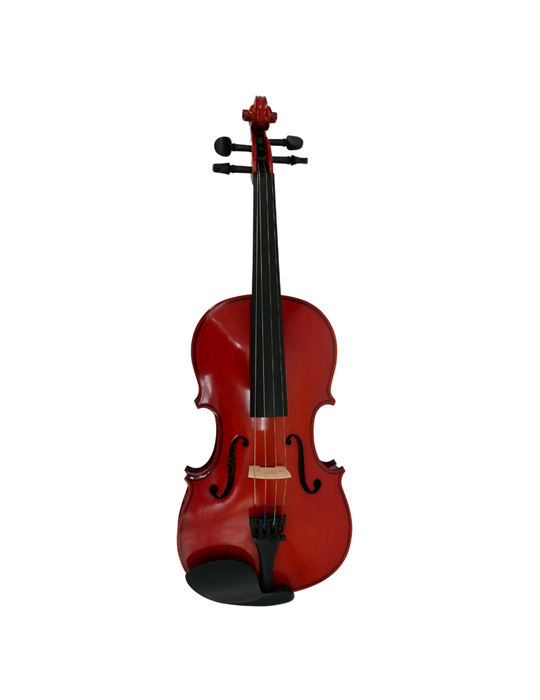 Violín 4/4 Gaudieri HD-V01